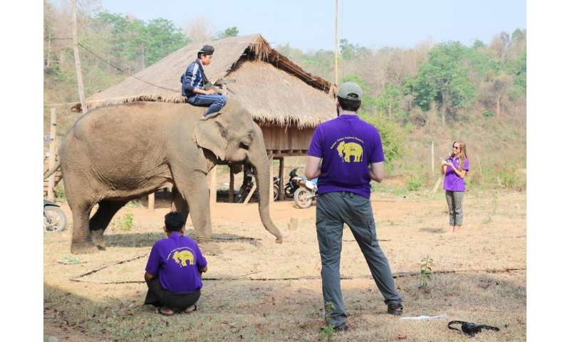 Elephant welfare can be assessed using two indicators