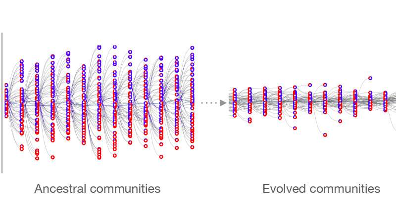 Evolution of community-level heredity