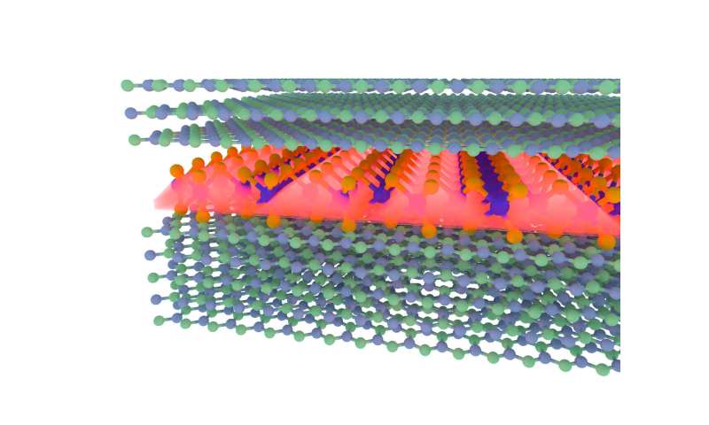 Experiments confirm light-squeezing 2D exciton-polaritons can exist