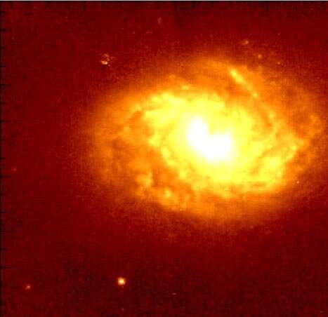 Feeding a galaxy's nuclear black hole Feedingagala