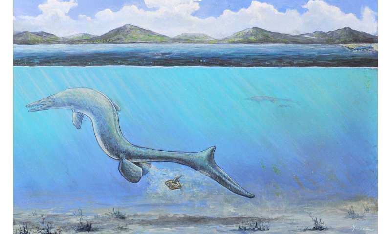 First egg from Antarctica is big and might belong to an extinct sea lizard