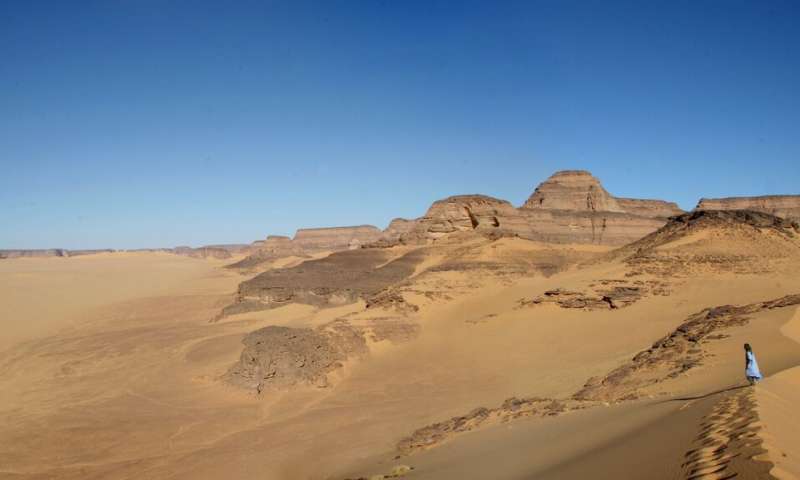 Fish in the Sahara? Yes, in the early Holocene