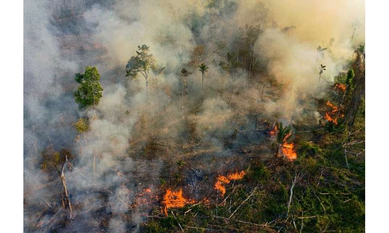 Flames consume a section of the Amazon in the state of Para on August 15, 2020