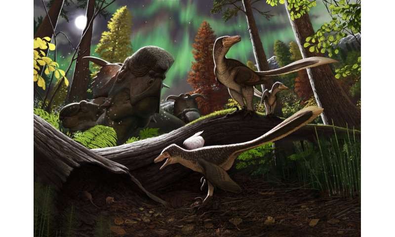 Fossil jawbone from Alaska is a rare case of a juvenile Arctic dromaeosaurid dinosaur