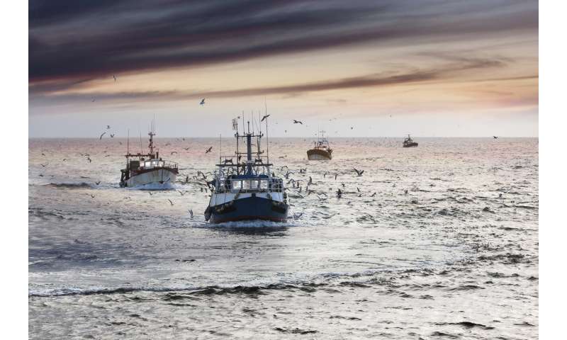 Global fisheries could alleviate a global food emergency in extreme situations