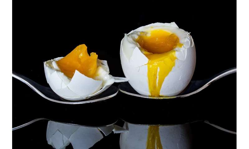 Go (over) easy on the eggs: 'Egg-cess' consumption linked to diabetes