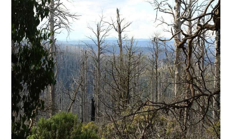 Halt post-disturbance logging in forests