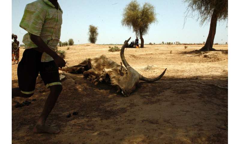 Heat waves are a direct threat to human live and can cause food shortages as well
