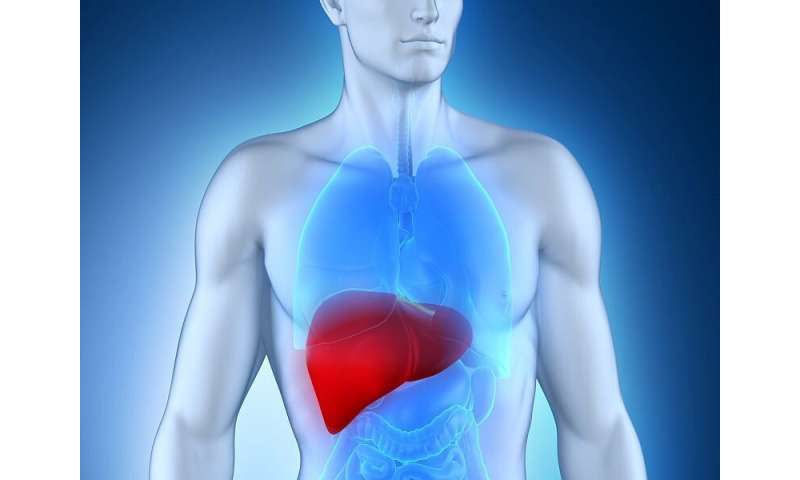 HFE hemochromatosis may up risk for liver cancer in men