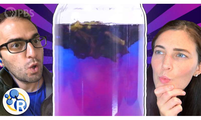 How does this blue flower tea change color? (video)