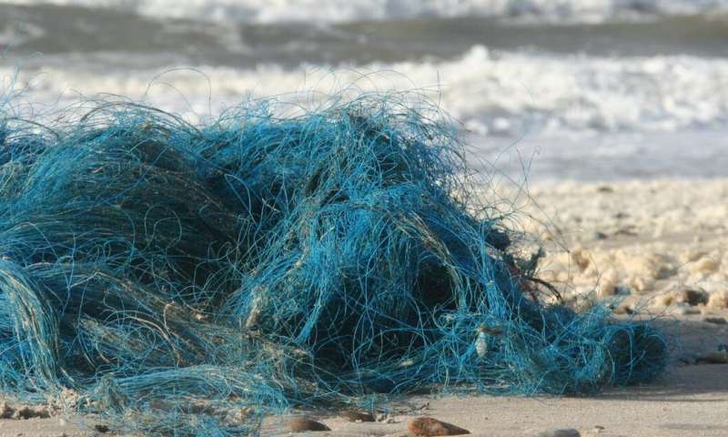 How to get abandoned, lost and discarded 'ghost' fishing gear out of the ocean