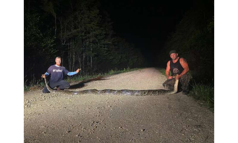 Hunters Kevin Pavlidis (L) and Ryan Ausburn (R) pose with their record-breaking 18-foot, 8.8-inch (5.7-meter) python on October 