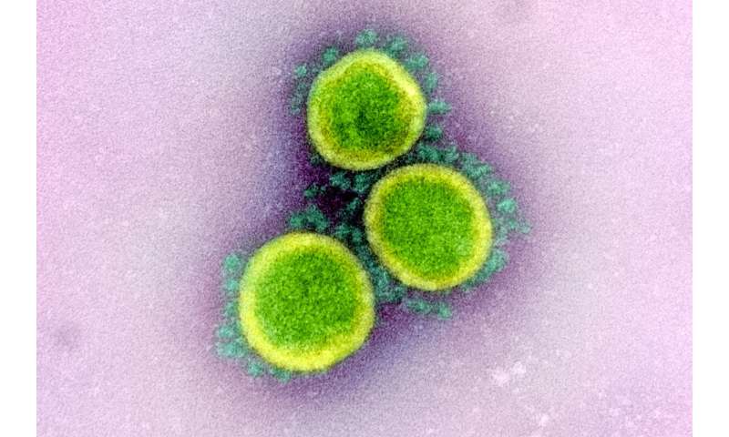 In creating a coronavirus vaccine, researchers prepare for future