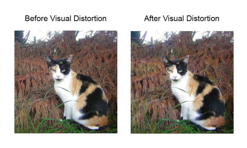 Innovation enhances digital privacy by hiding images from the prying eyes of AI