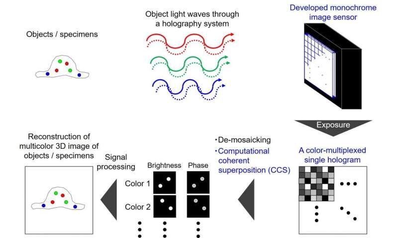 Instantaneous color holography system for sensing fluorescence and white light