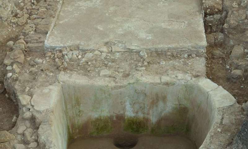 Iron Age wine press yields clues to Phoenician building techniques