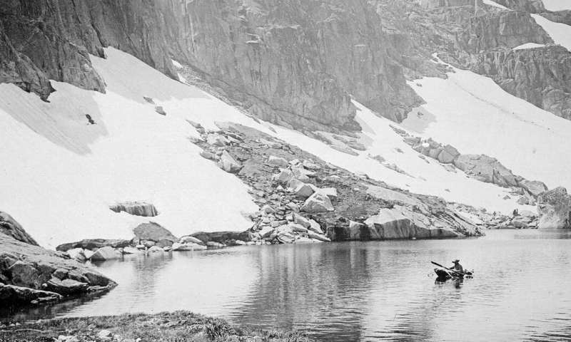 'It is not easy': how science and courage saved the stunning Australian Alps