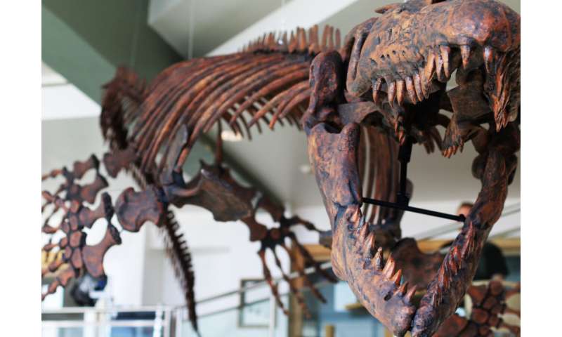Jaws of Death: USU Eastern Paleontologist Renames Giant, Prehistoric Marine Lizard
