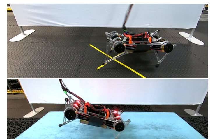 [Jelani-new author] Google’s robot learns to walk in real world
