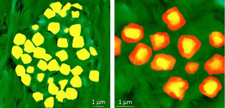 Landscape to atomic scales: Researchers apply new approach to pyrite oxidation