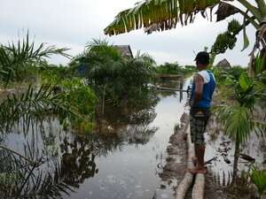Land use change leads to increased flooding in Indonesia, study shows