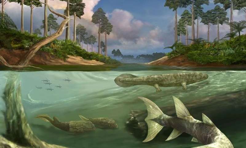 Large tides may have been a key factor in the evolution of bony fish and tetrapods