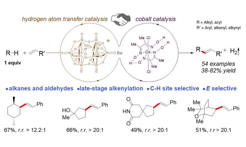 Late-stage functionalisation of carbon-hydrogen bonds