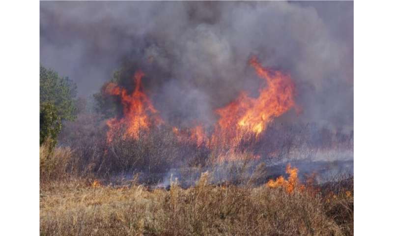Low-severity fires enhance long-term carbon retention of peatlands