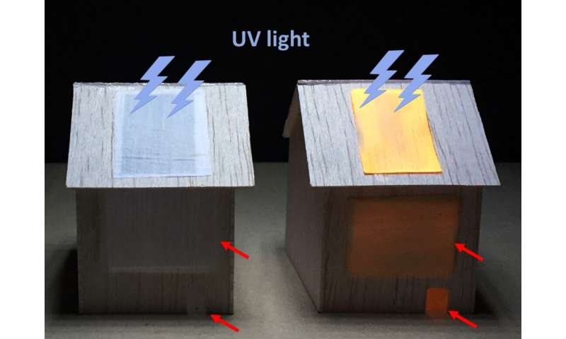 Luminescent wood could light up homes of the future