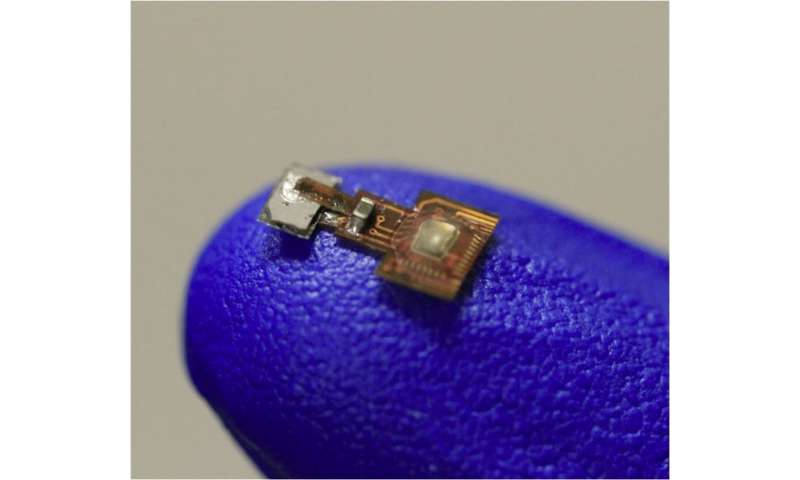 Magnet-controlled bioelectronic implant could relieve pain