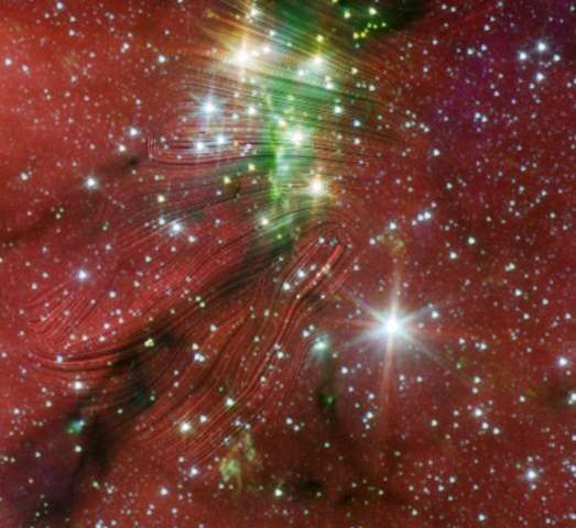 Magnetized gas flows feed a young star cluster