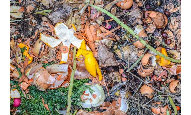 Making coal from food waste, garden cuttings – and even human sewage