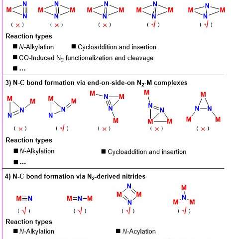 Making N-C bond directly from N2: summary and perspective