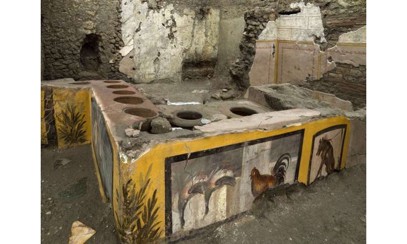 Mallard to go? Dig of Pompeii fast-food place reveals tastes
