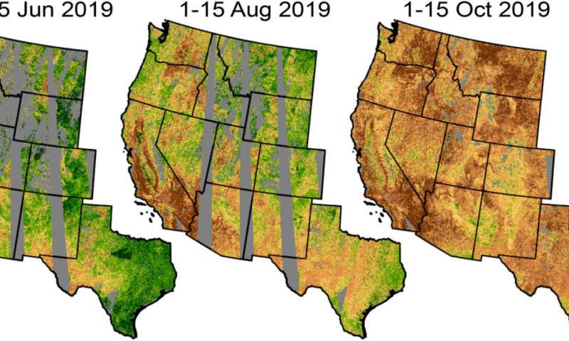 Mapping dry wildfire fuels with AI and new satellite data