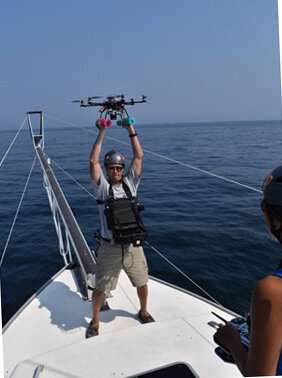 Measuring Atlantic bluefin tuna with a drone