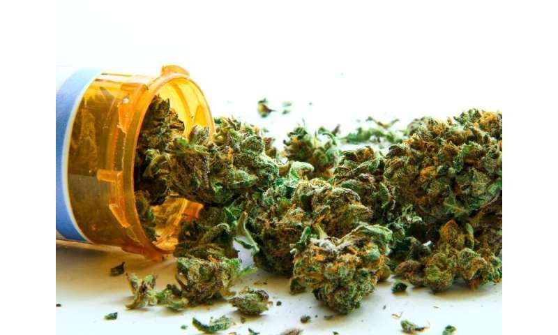 Medical marijuana tied to fewer admissions in sickle cell disease