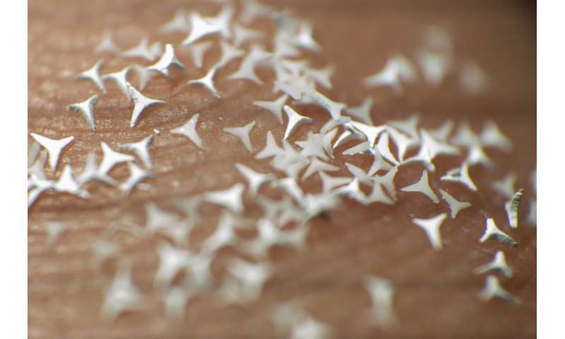 Microscopic STAR particles offer new potential treatment for skin diseases