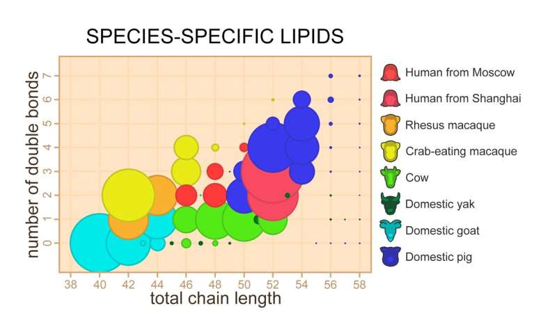 Milk lipids follow the evolution of mammals