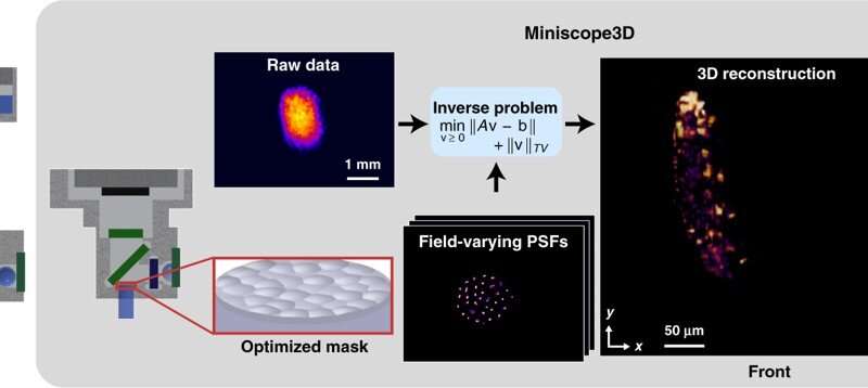 Miniscope3D – A single-shot miniature three-dimensional fluorescence microscope