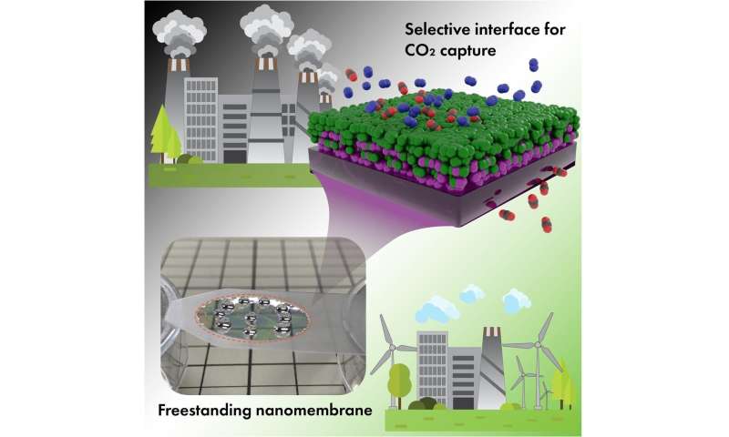 Molecularly thin interface between polymers -- for efficient CO2 capture membrane