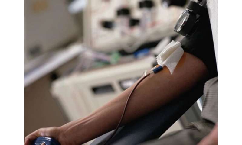 Most teens recover iron stores one year after whole blood donation