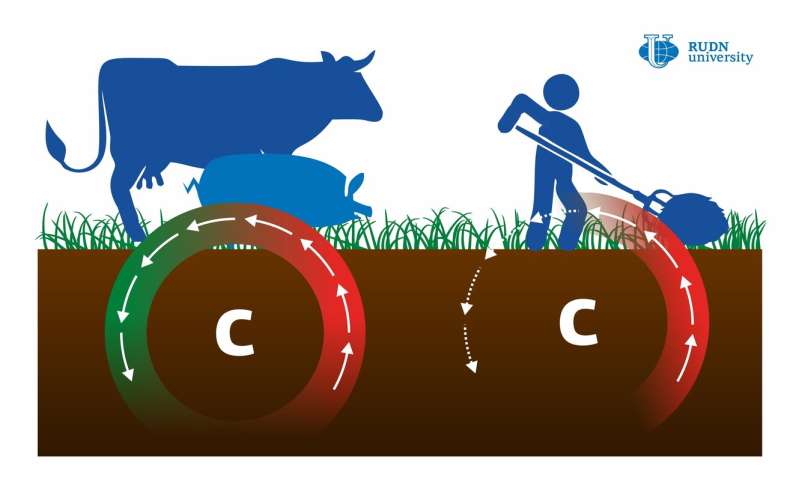 Mowing Is More Harmful to Soil Than Grazing