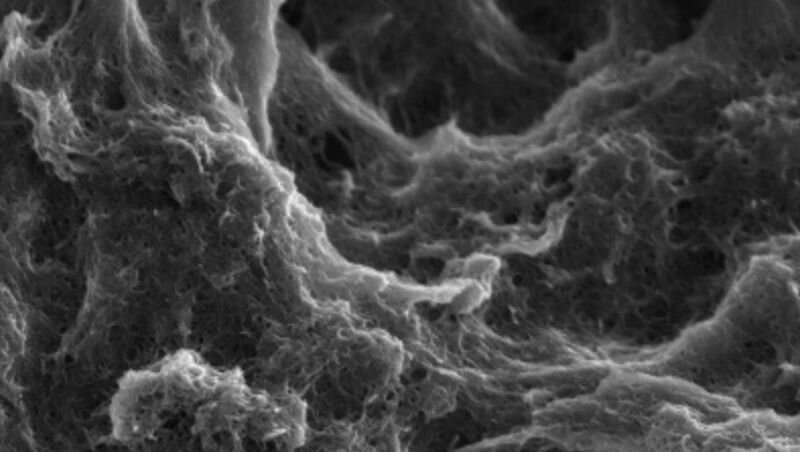Nature-imitating coating makes batteries more durable and efficient