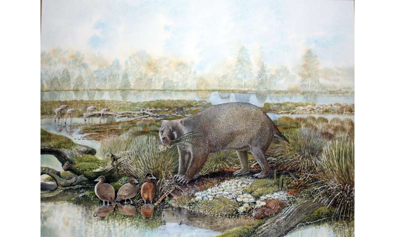 New extinct family of giant wombat relatives discovered in Australian desert