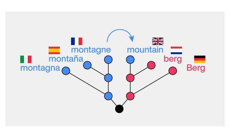 New study tests machine learning on detection of borrowed words in world languages