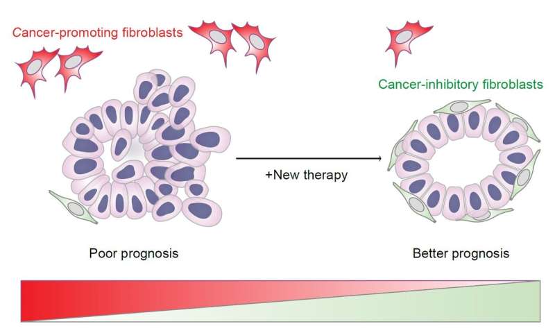 针对肠癌扩散的新疗法