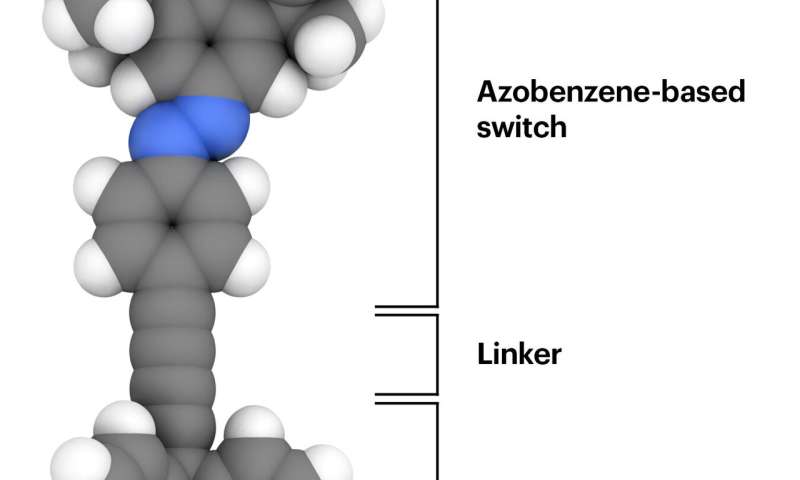 NMR confirms molecular switches retain function in 2D-array