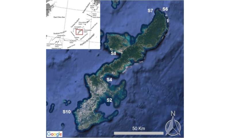 Novel method reveals small microplastics throughout Japan's subtropical ocean