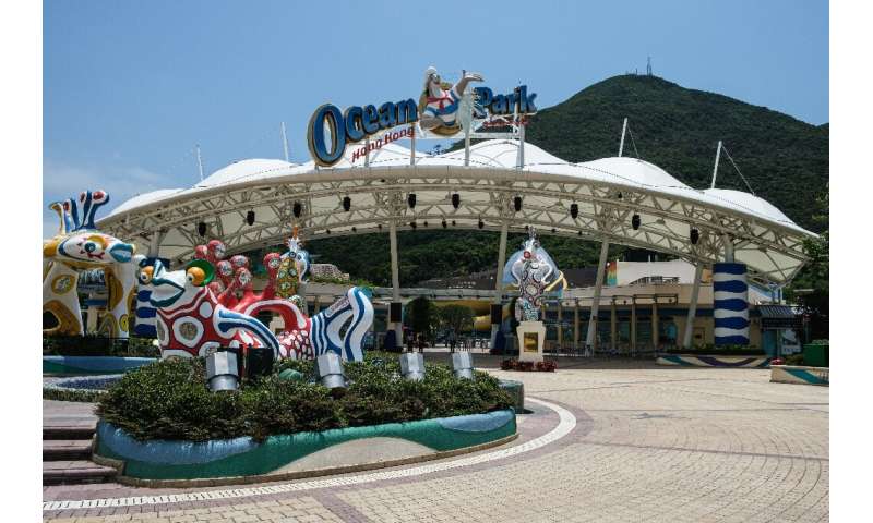 Ocean Park has been earmarked for a US$1.4 billion bailout from the Hong Kong government due to ongoing economic woes
